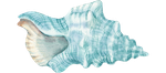 untitled design (13)