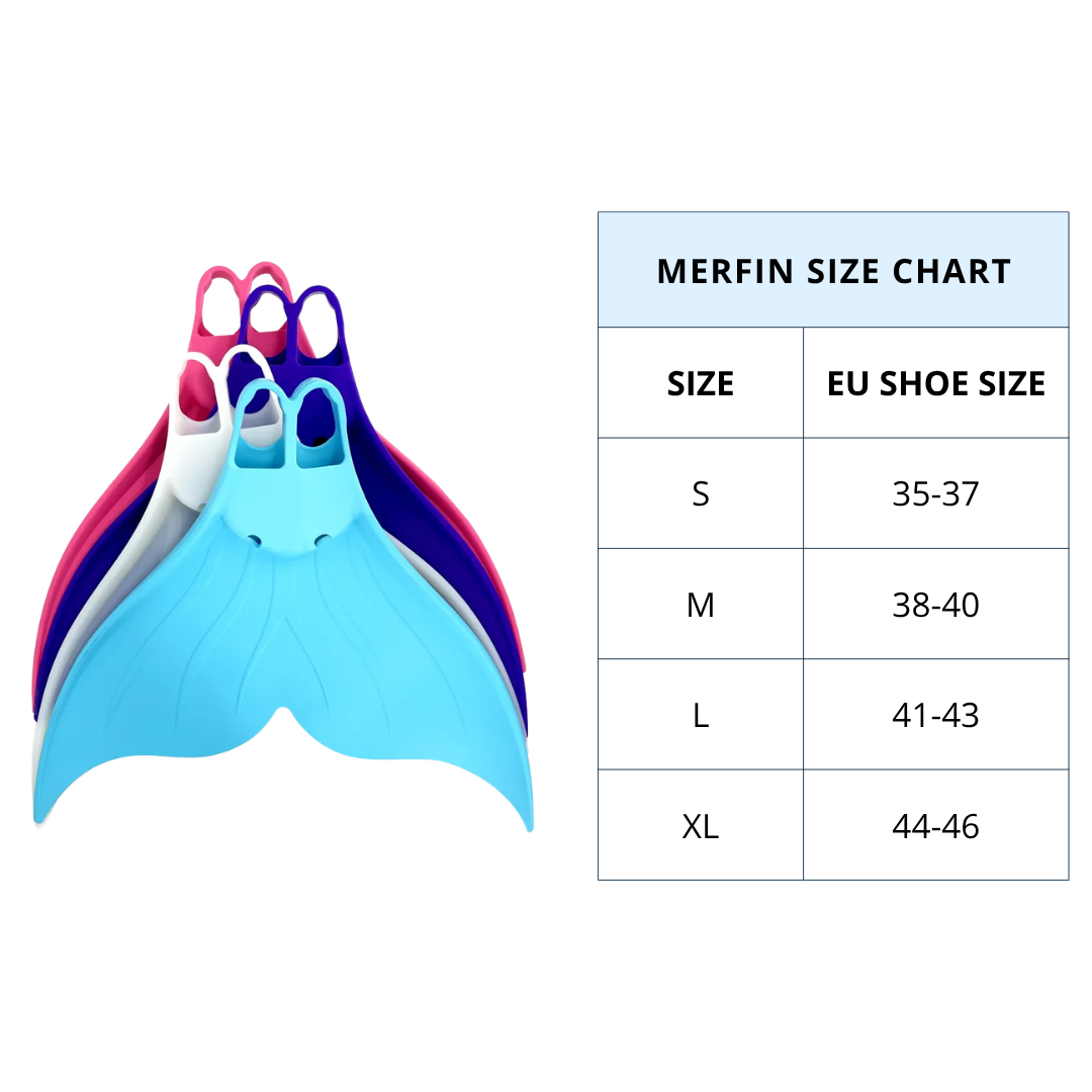 website size chart